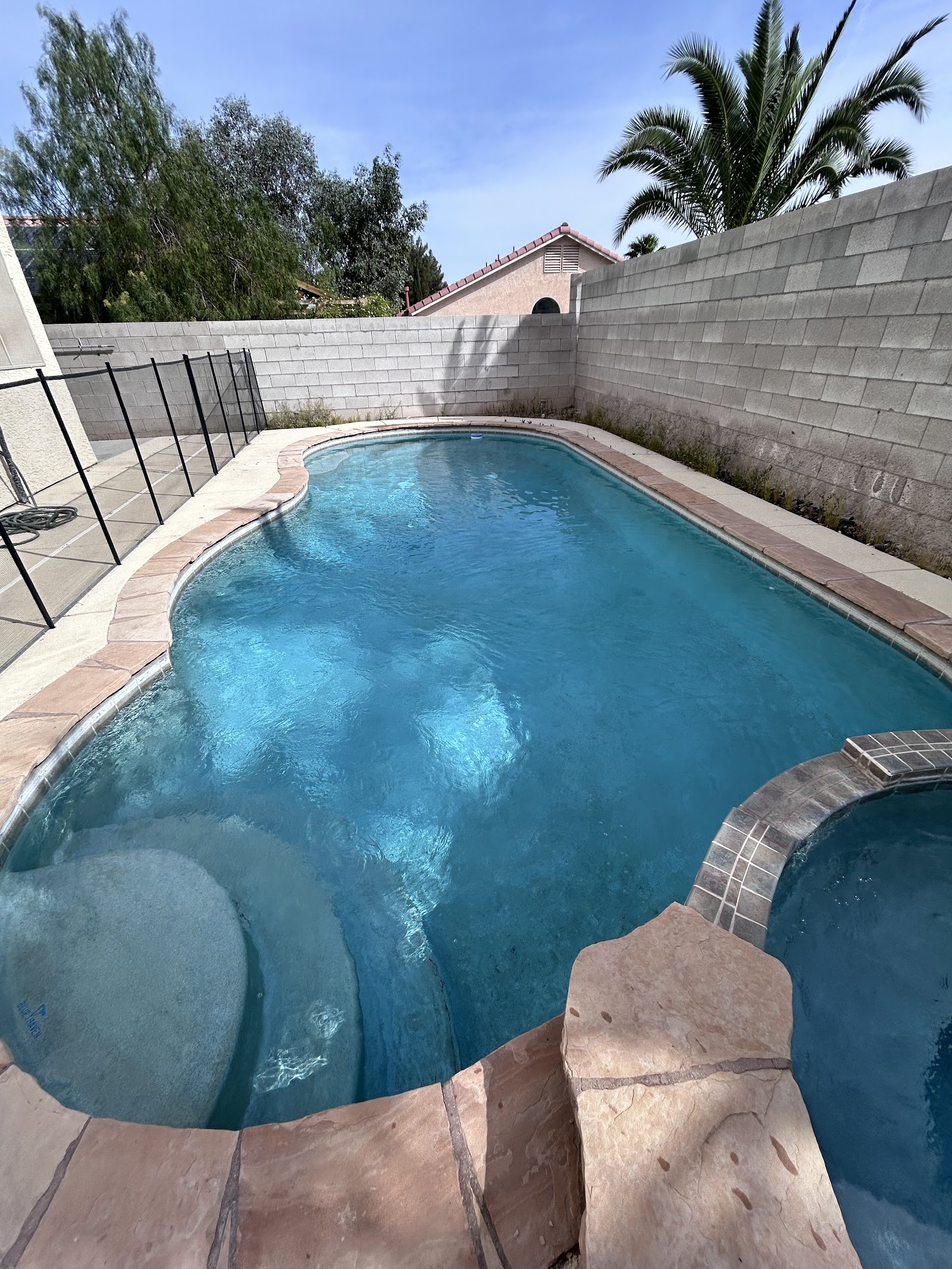 Clean backyard pool with attached spa and clear blue water