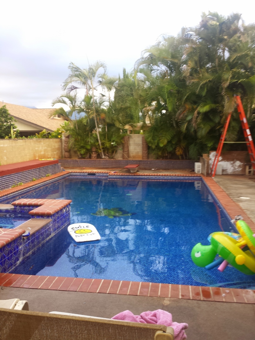 Backyard pool with tropical palms, pool toys, and a ladder during a service visit